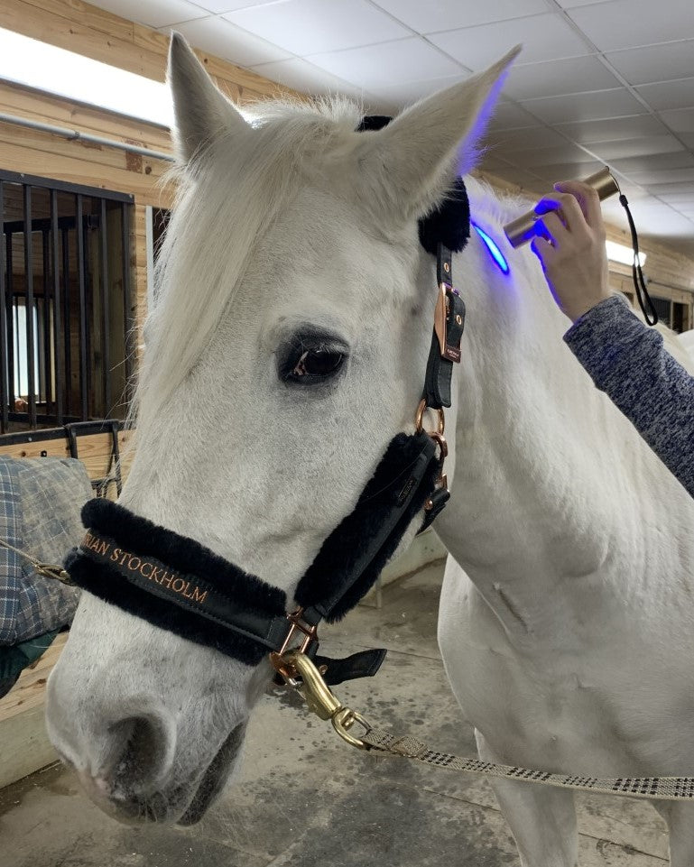 Firefly Light Therapy