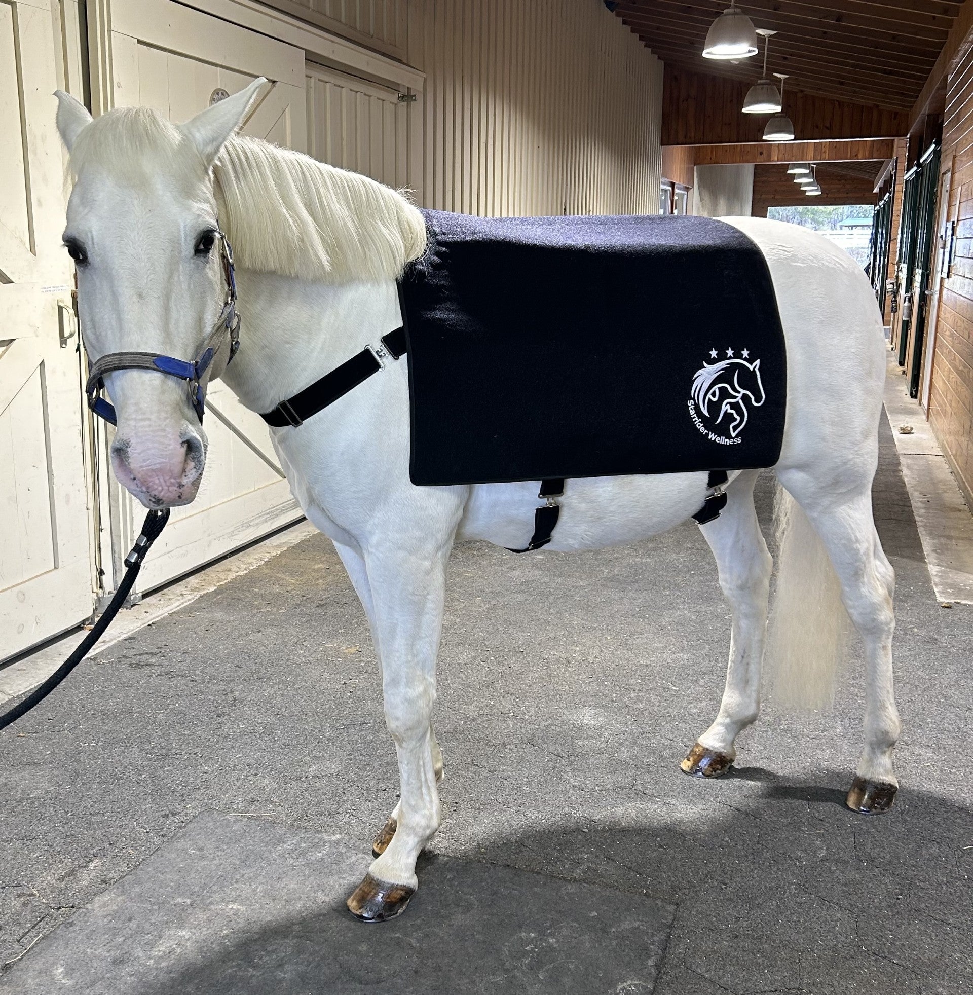 (A) Hero Full Body Pad