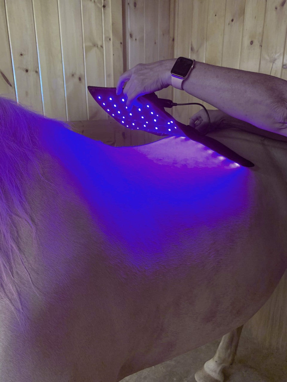 Legend Light Therapy Pad Red, infrared and blue light therapy pad