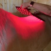 Legend Light Therapy Pad Red, infrared and blue light therapy pad