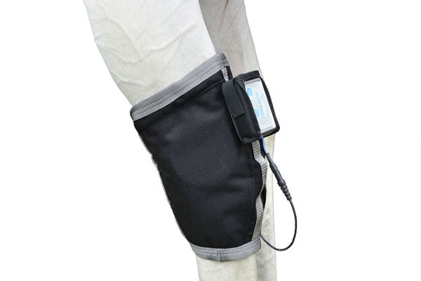 Respond Equine PEMF Hock Boot