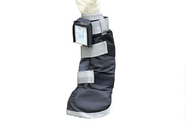 The Bio-Pulse™ Sentry Blanket Magnetic Therapy System