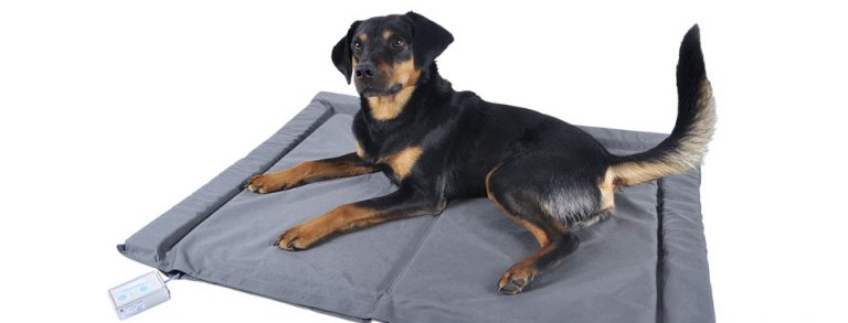 Bio-Pulse Dog or Cat PEMF Nylon Therapy Mat