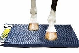 Respond Bio-Pulse Iron Foot