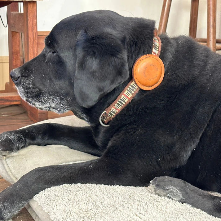 eWell Dog Collar Puck