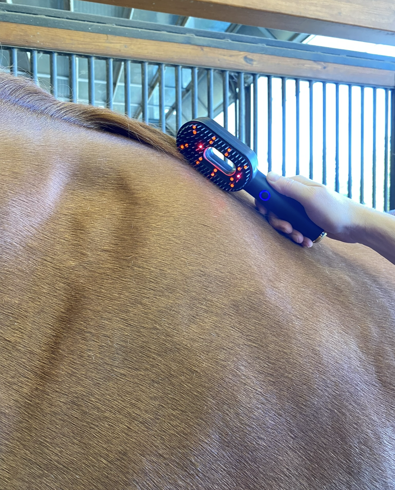 Starrider's Smart Brush, January Sale, Reg. $69 - NOW $59 Free Healing Bracelet included