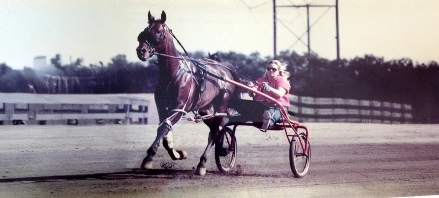 Denise Love riding a horse